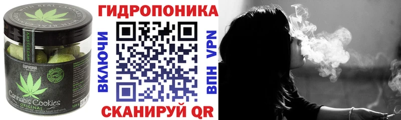 Cannafood конопля  Ногинск 