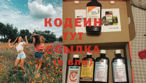 гашик Лабытнанги
