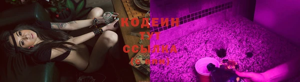 гашик Лабытнанги