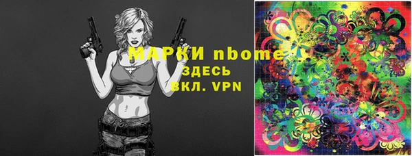 гашик Лабытнанги