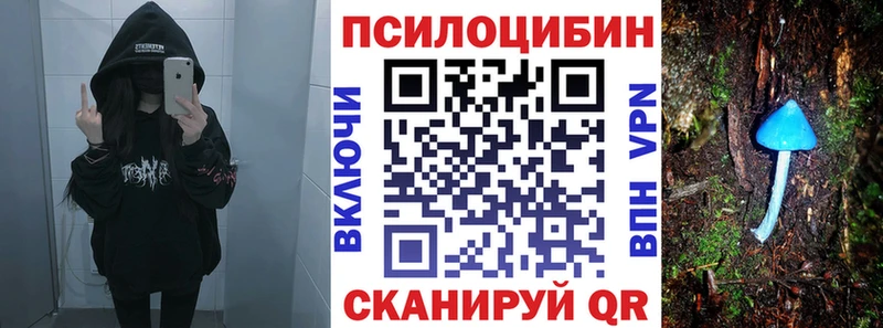 Галлюциногенные грибы мицелий  хочу наркоту  Ногинск 